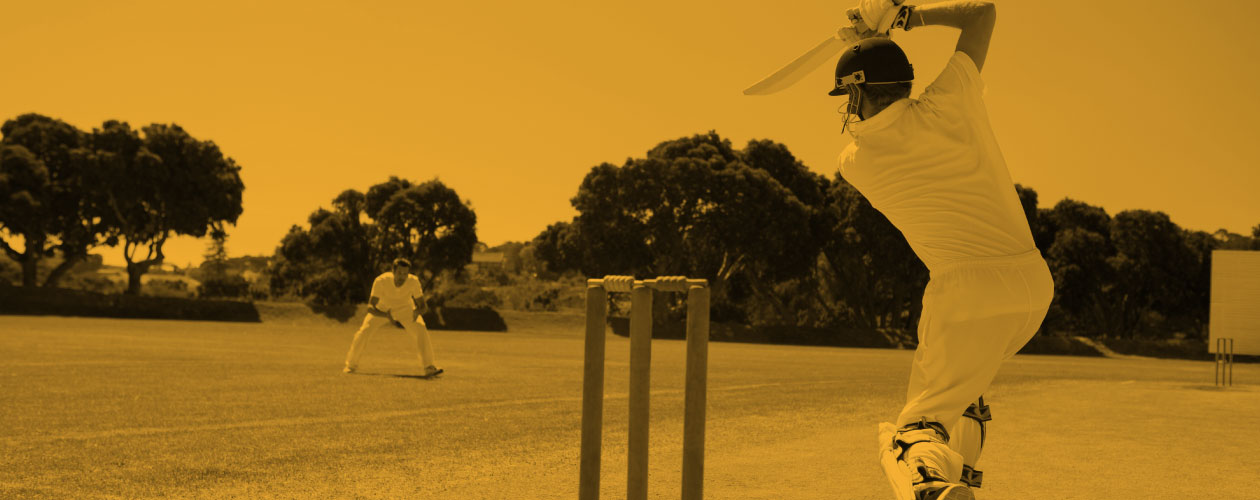 Blog Banner Cricket
