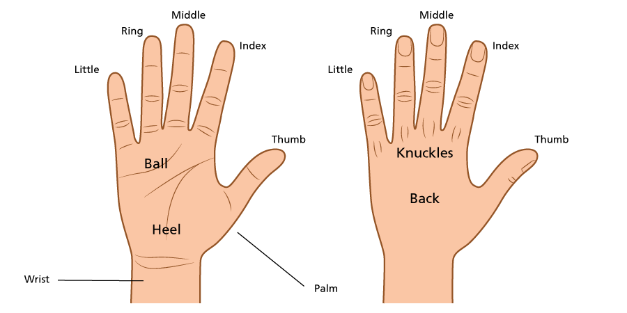 Hand Diagram